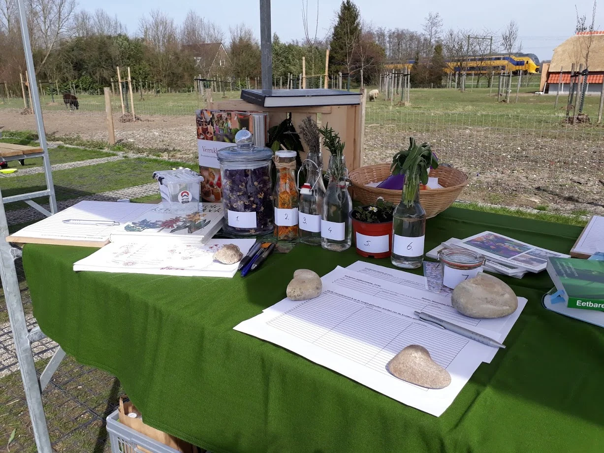 20180407_135114 kruidinn op locatie